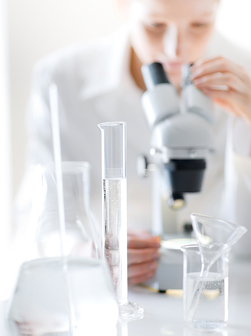 lab