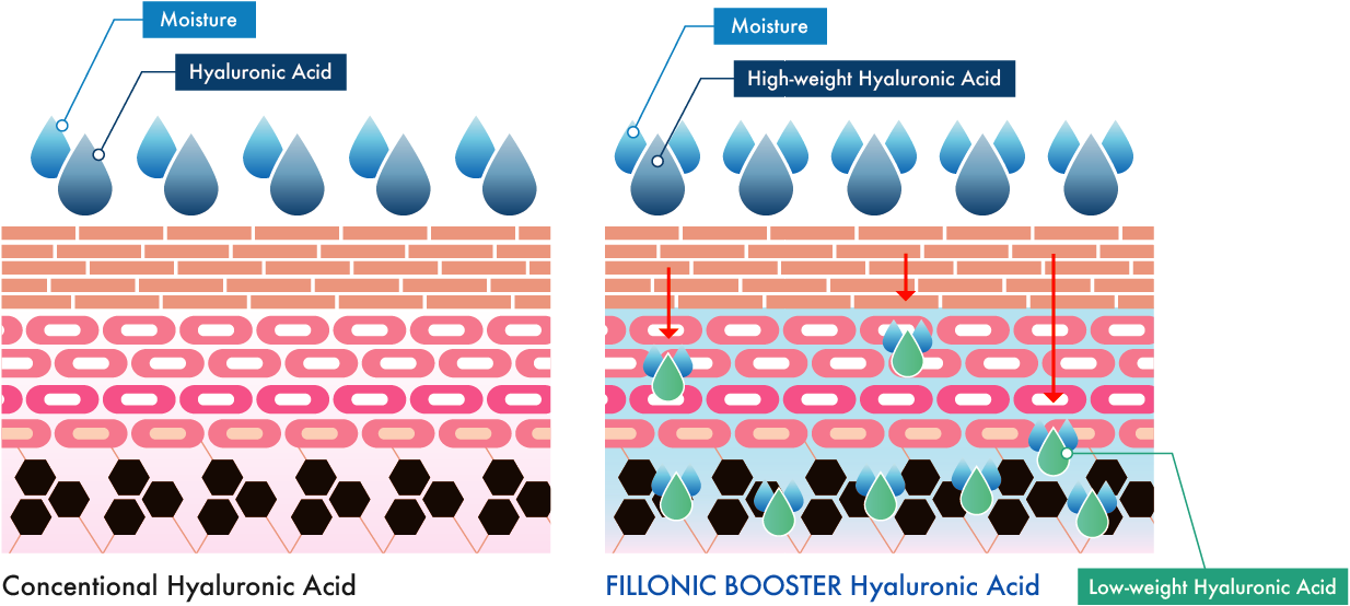 fillonic