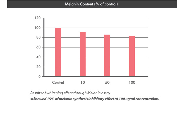 Results of whitening effect through Melanin assay=Showed 15% of melanin synthesis inhibitory effect at 100 ug/ml concentration.
